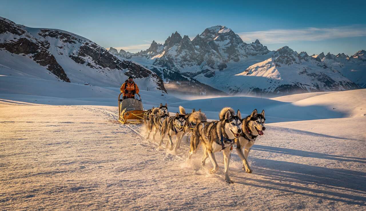 Escapades en chiens de tra&icirc;neau