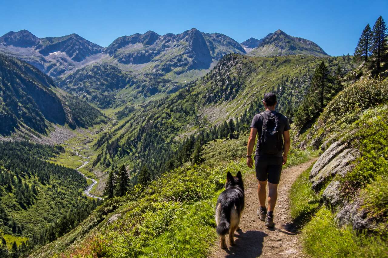 Partir en randonnée avec son chien dans les Pyrénées : conseils pratiques