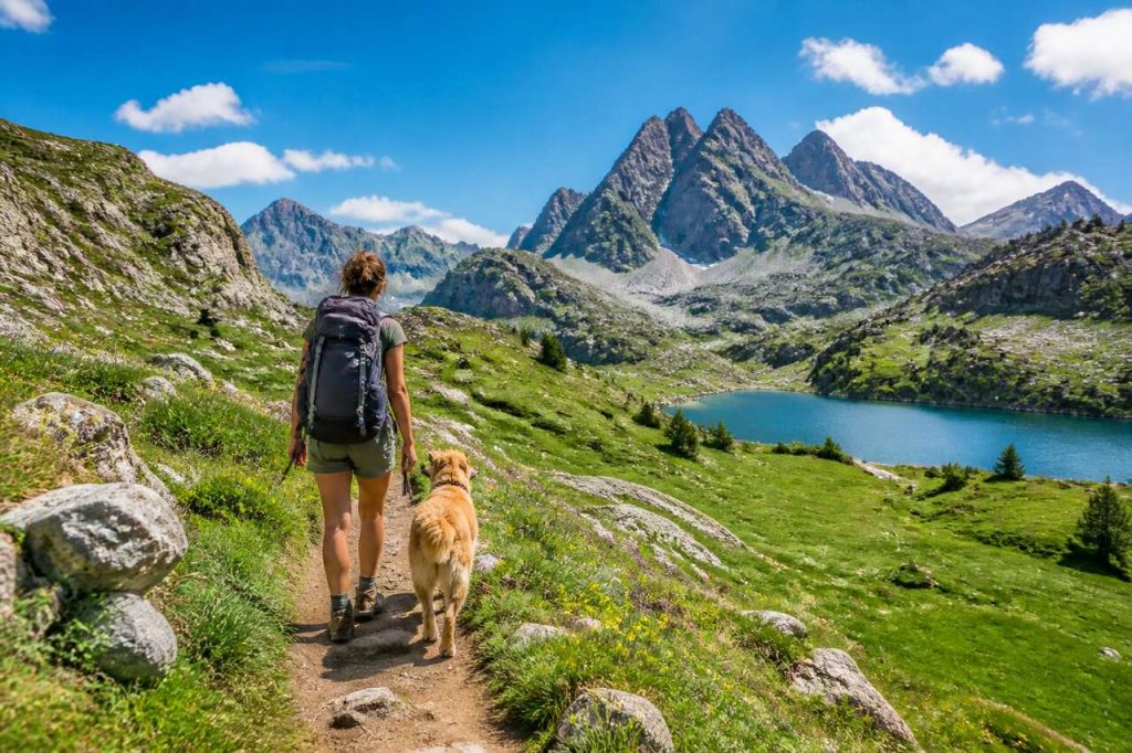 Partir en randonnée avec son chien dans les Pyrénées : conseils pratiques