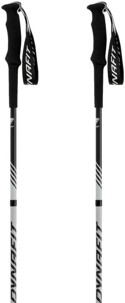 Test des bâtons Dynafit Alpine Pro 115 cm
