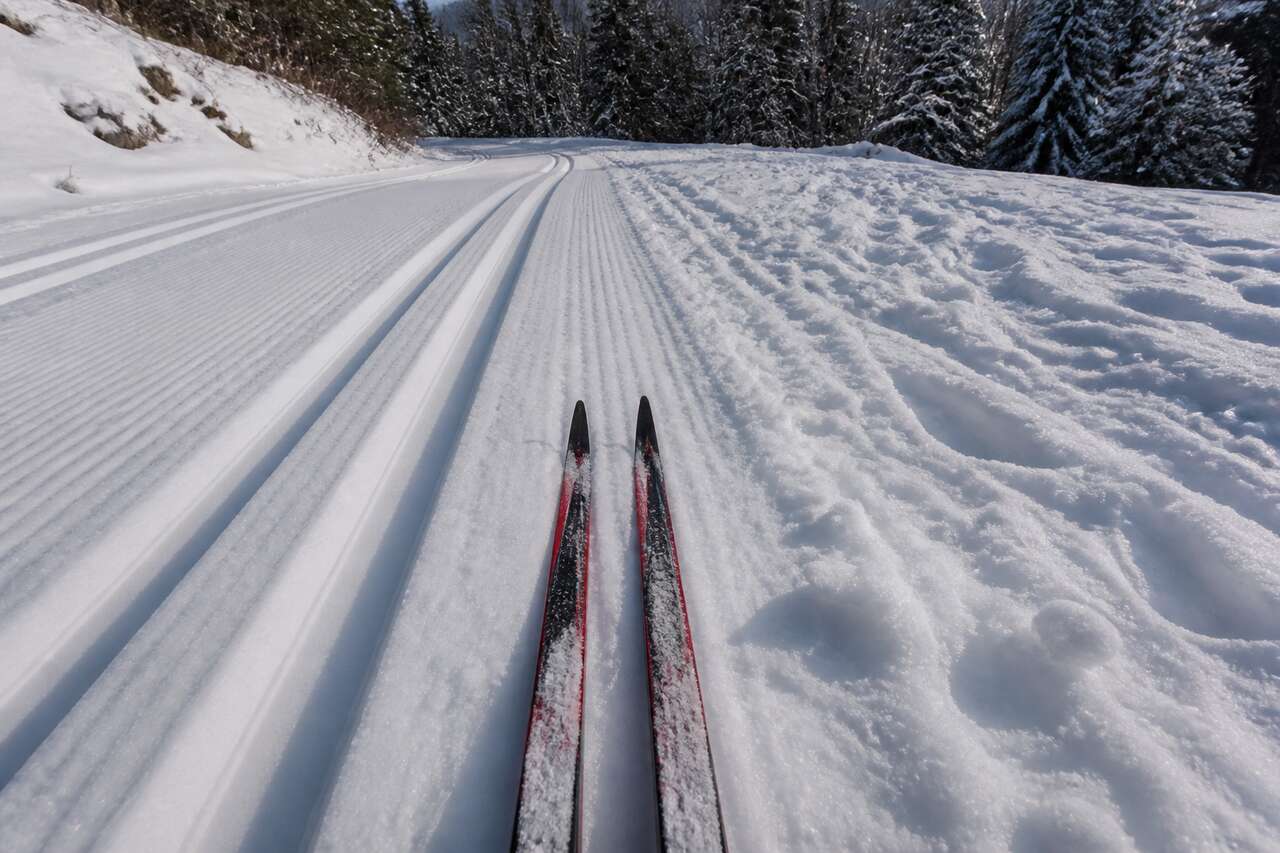 Terrain et conditions: piste dam&eacute;e, hors-piste, neige froide ou humide